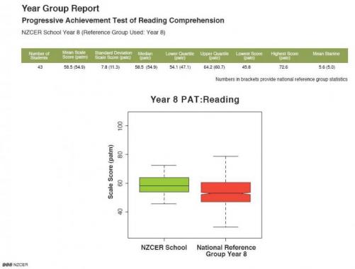PAT reading comprehension group report