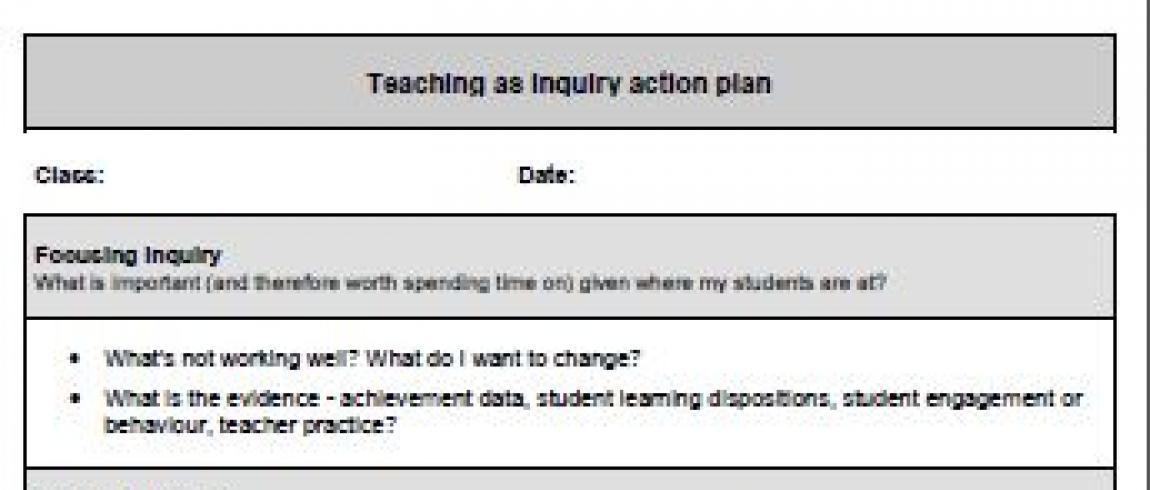 Action Plan Template For Teachers from assessment.tki.org.nz